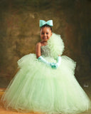 Mint Crystals Flower Girl Dresses Ball Gown Tulle Beaded Flower Vintage Little Girl Peageant Birthday Christening Dress Gowns ZJ419