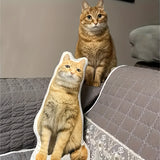 Custom Photo Pillow - Personalized Shape, Zippered, Machine Washable with Cotton Fill - Perfect for Home Decor, Cars, Beds & Sofas - Great Gift Idea