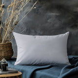 1, hypoallergenic pillow core, modern style, rectangular pillow core, square pillow filler, for living room, bedroom, dormitory, office, home decoration 30 * 50