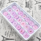 21PCs/Box Preserved Fresh Flower Austin Rose Immortal Real flowers Rose In Box Party Decorations Wedding Home Decor Class A