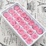 21PCs/Box Preserved Fresh Flower Austin Rose Immortal Real flowers Rose In Box Party Decorations Wedding Home Decor Class A