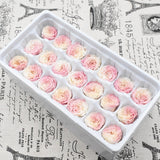 21PCs/Box Preserved Fresh Flower Austin Rose Immortal Real flowers Rose In Box Party Decorations Wedding Home Decor Class A