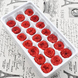 21PCs/Box Preserved Fresh Flower Austin Rose Immortal Real flowers Rose In Box Party Decorations Wedding Home Decor Class A