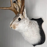 elvesmall  Antlers Rabbit Head Statue Home Decoration 3d Abstract Sculpture Wall Pendant Animal Statues Room Mural Art Craft Ornaments