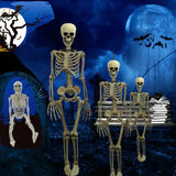 elvesmall  Halloween Movable Skeleton Fake Human Skull Bones Holidays Party Home Bar Decorations Haunted House Horror Props Ornament Toys