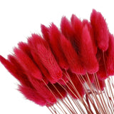 elvesmall  50pcs Dried Rabbit Tail Grass Flowers Artificial Plant Bouquets Wedding Party Home Desktop Decorative Flowers Eternal Flower