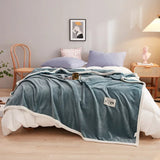elvesmall  New Milk Velvet Autumn Winter Blanket for Bed Thick Flannel Weighted Blankets Soft Comfortable Warm Plush Blankets for Bed Sofa
