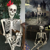 elvesmall  Halloween Movable Skeleton Fake Human Skull Bones Holidays Party Home Bar Decorations Haunted House Horror Props Ornament Toys