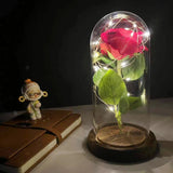 elvesmall  LED Enchanted Galaxy Rose Eternal 24K Gold Foil Flower With Fairy String Lights In Dome For Christmas Valentine's Day Gift