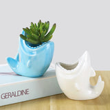 elvesmall Shark Shape Flower pot Planter Plants Potted Home Decor Ceramic Vase Desktop Ornaments Gardening Supplies Succulent Plant Pot