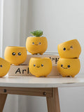 elvesmall  Ceramic Succulent Flower Pot, Cute Cartoon Ornaments, Green Plant, Simple Household Vase, Home Room Decoration