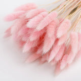 elvesmall  50pcs Dried Rabbit Tail Grass Flowers Artificial Plant Bouquets Wedding Party Home Desktop Decorative Flowers Eternal Flower