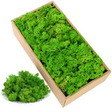 elvesmall 40g Simulation Artificial Moss Green Eternal Life Moss Grass Fake Plant For Home Wall Decor Garden Micro Landscape Material Gift