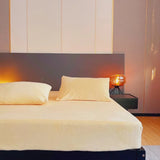 elvesmall Autumn Winter Warm Fitted Bed Sheet Flannel Soft Comfortable Queen Bed Sheets Thicked Coral Fleece Mattress Cover Plush Bedsheet