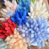 elvesmall  50pcs Dried Rabbit Tail Grass Flowers Artificial Plant Bouquets Wedding Party Home Desktop Decorative Flowers Eternal Flower