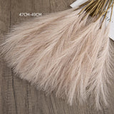 elvesmall 55CM 5/1PCS Fluffy Pampas Grass Boho Decor Flower Fake Plant Reed Simulated Wedding Party Christmas Home Decor Artificial Flower