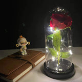elvesmall  LED Enchanted Galaxy Rose Eternal 24K Gold Foil Flower With Fairy String Lights In Dome For Christmas Valentine's Day Gift