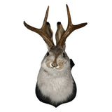 elvesmall  Antlers Rabbit Head Statue Home Decoration 3d Abstract Sculpture Wall Pendant Animal Statues Room Mural Art Craft Ornaments