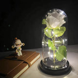 elvesmall  LED Enchanted Galaxy Rose Eternal 24K Gold Foil Flower With Fairy String Lights In Dome For Christmas Valentine's Day Gift