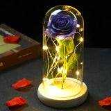 elvesmall  LED Enchanted Galaxy Rose Eternal 24K Gold Foil Flower With Fairy String Lights In Dome For Christmas Valentine's Day Gift