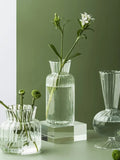 elvesmall  6-piece Set Clear glass vase Desktop Hydroponic Flower Insert Vase ins Modern Decoration Vase home decor