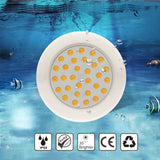 elvesmall Outdoor DC12V Underwater Waterproof accessories IP68 Led Swimming Pool Light Fully Resin Filled Recessed Style Led