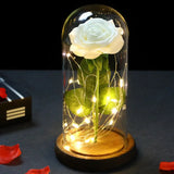 elvesmall  LED Enchanted Galaxy Rose Eternal 24K Gold Foil Flower With Fairy String Lights In Dome For Christmas Valentine's Day Gift
