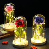 elvesmall  LED Enchanted Galaxy Rose Eternal 24K Gold Foil Flower With Fairy String Lights In Dome For Christmas Valentine's Day Gift