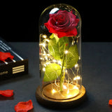 elvesmall  LED Enchanted Galaxy Rose Eternal 24K Gold Foil Flower With Fairy String Lights In Dome For Christmas Valentine's Day Gift