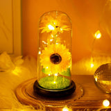elvesmall  Artificial Flower Sunflower Tulip Glass Dome for Mother's Day Valentine's Day Gift Home Decorations LED Night Lamp Bedroom Decor