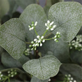 elvesmall  5pcs Artificial Plants Green Eucalyptus Leaves DIY Bridal Bouquet For Wedding Party Home Garden Table Decoration Fake Flowers