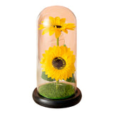 elvesmall  Artificial Flower Sunflower Tulip Glass Dome for Mother's Day Valentine's Day Gift Home Decorations LED Night Lamp Bedroom Decor