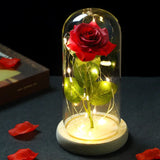 elvesmall  LED Enchanted Galaxy Rose Eternal 24K Gold Foil Flower With Fairy String Lights In Dome For Christmas Valentine's Day Gift