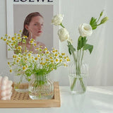 elvesmall  6-piece Set Clear glass vase Desktop Hydroponic Flower Insert Vase ins Modern Decoration Vase home decor