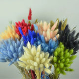 elvesmall  50pcs Dried Rabbit Tail Grass Flowers Artificial Plant Bouquets Wedding Party Home Desktop Decorative Flowers Eternal Flower