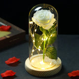 elvesmall  LED Enchanted Galaxy Rose Eternal 24K Gold Foil Flower With Fairy String Lights In Dome For Christmas Valentine's Day Gift