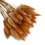 elvesmall  50pcs Dried Rabbit Tail Grass Flowers Artificial Plant Bouquets Wedding Party Home Desktop Decorative Flowers Eternal Flower