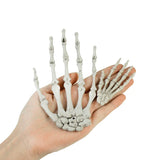 elvesmall 2/12pcs Realistic Human Hand Bone Halloween Haunted House Plastic Skull Skeleton Bone Adult Scary Props Halloween Decoration