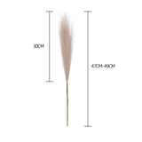 elvesmall 55CM 5/1PCS Fluffy Pampas Grass Boho Decor Flower Fake Plant Reed Simulated Wedding Party Christmas Home Decor Artificial Flower