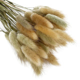 elvesmall  50pcs Dried Rabbit Tail Grass Flowers Artificial Plant Bouquets Wedding Party Home Desktop Decorative Flowers Eternal Flower