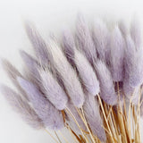 elvesmall  50pcs Dried Rabbit Tail Grass Flowers Artificial Plant Bouquets Wedding Party Home Desktop Decorative Flowers Eternal Flower