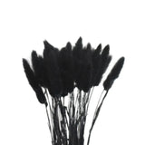 elvesmall  50pcs Dried Rabbit Tail Grass Flowers Artificial Plant Bouquets Wedding Party Home Desktop Decorative Flowers Eternal Flower