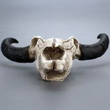 elvesmall  Three-Dimensional Wall Hanging Horns, Skull, Creative Home Wall Decoration, Retro Animal Bones