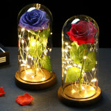 elvesmall  LED Enchanted Galaxy Rose Eternal 24K Gold Foil Flower With Fairy String Lights In Dome For Christmas Valentine's Day Gift