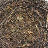 elvesmall 8-25cm Nature Bird Nest Easter Decoration DIY Handmade Craft Birds Nest for Easter Party Home Garden Decoration