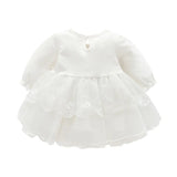 New Born baby girls infant dress clothes Lace Embroidery Baptism Dress For Baby Girls Party Christening Dresses 0 3 6 9 months 201204