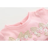 New Born baby girls infant dress clothes Lace Embroidery Baptism Dress For Baby Girls Party Christening Dresses 0 3 6 9 months 201204