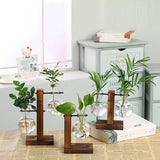 elvesmall Terrarium Flask Planter Vase