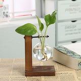 elvesmall Terrarium Flask Planter Vase