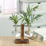 elvesmall Terrarium Flask Planter Vase